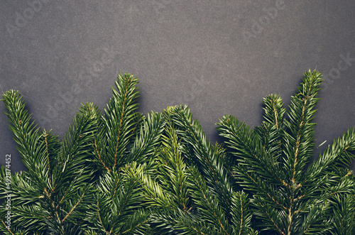 Toned hipster flatly black background with green spruce branches. Evergreen ashy pine tree sticks background. Creative minimalistic composition