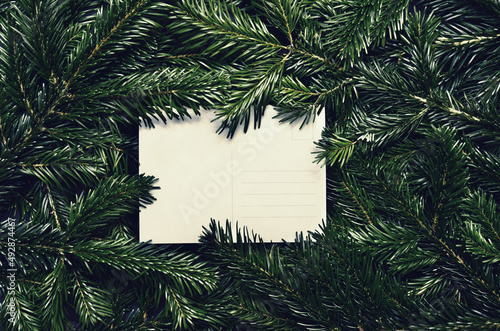 Top view of green spruce branches with empty white greeting postcard. vergreen ashy pine tree sticks background. Creative minimalistic composition