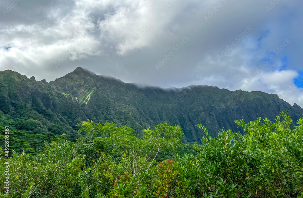 Forest and mountains in Hawaii. Natural areas for vacation