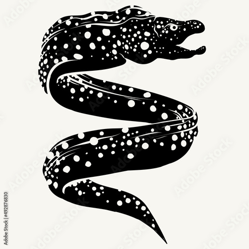 Bild auf Leinwand Vector hand drawn minimal illustration of moray eel