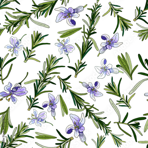 leaves, flowers, branches of rosamryn, seamless pattern green leaves, blue flowers, rosemary branches, contour dark seamless pattern on a white background,