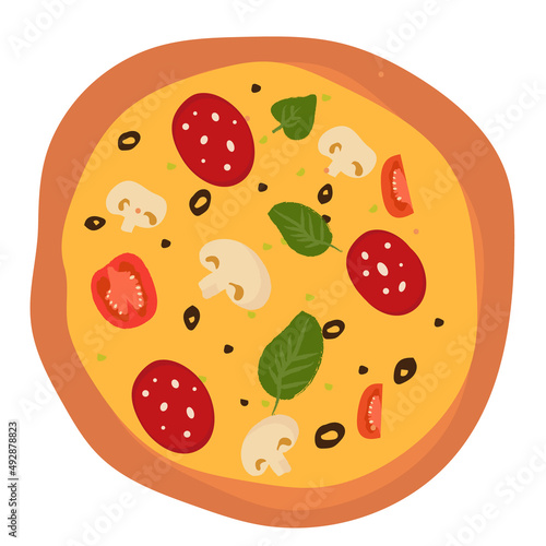 meat pizza with mushrooms and herbs isolated.
