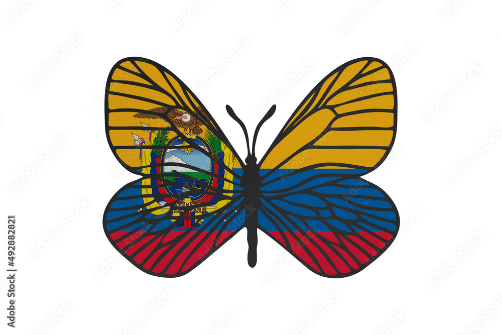 Butterfly wings in color of national flag. Clip art on white background.  Ecuador Illustration Stock | Adobe Stock