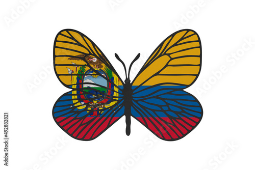 Butterfly wings in color of national flag. Clip art on white background. Ecuador