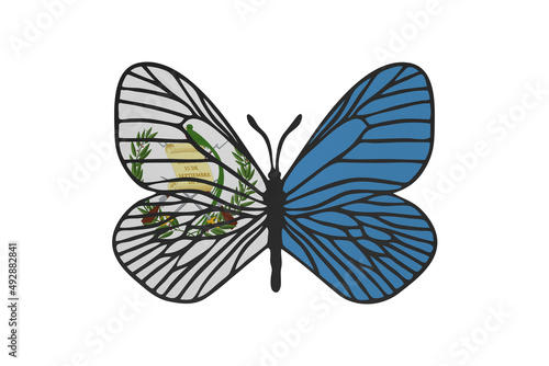 Butterfly wings in color of national flag. Clip art on white background. Guatemala