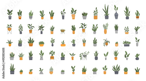 Flowerpot big set. Collection of elements for website and social network stickers. Gardening and botany, different plants and flowers. Cartoon flat vector illustrations isolated on white background