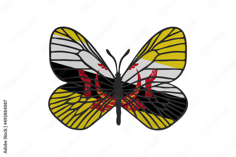 Obraz premium Butterfly wings in color of national flag. Clip art on white background. Brunei Darussalam
