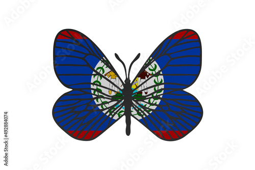 Butterfly wings in color of national flag. Clip art on white background. Belize