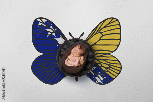 Tiny baby portrait with wings in color of national flag. Newborn photography concept. Bosnia and Herzegovina