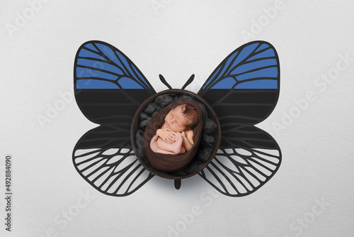 Tiny baby portrait with wings in color of national flag. Newborn photography concept. Estonia