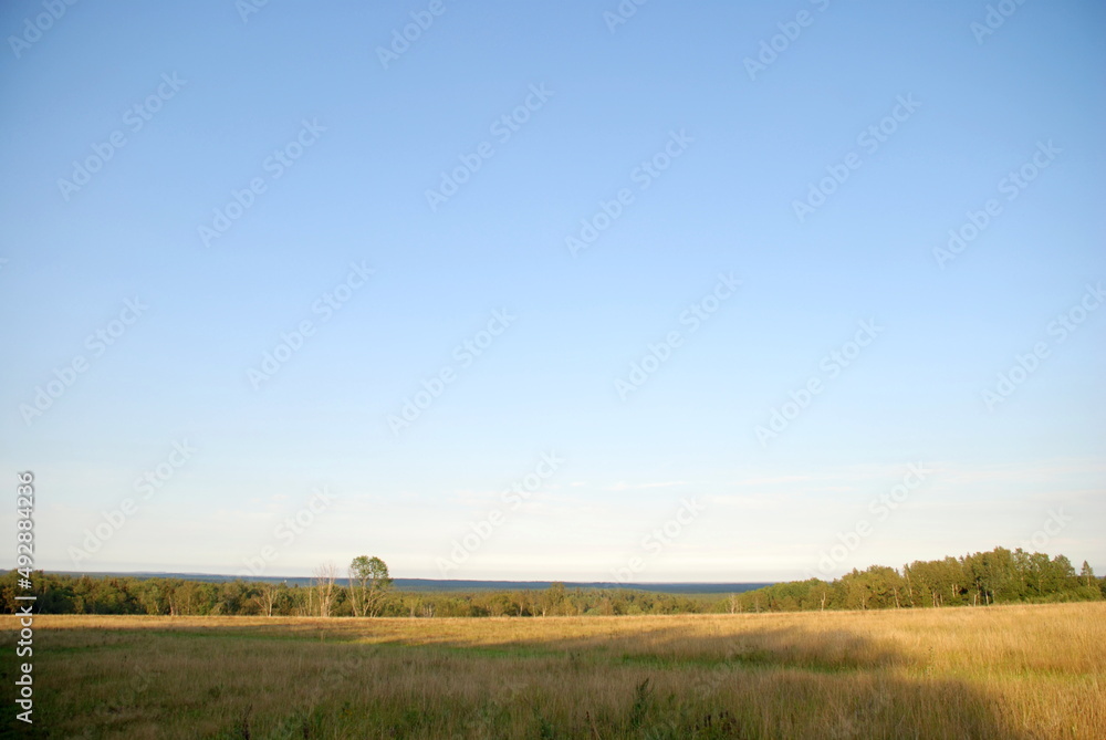 Field with yellowed grass. On a clear sunny day, a field with yellow burnt grass is partly lit by the sun, partly in the shade, the sky is clear, light blue with occasional clouds.
