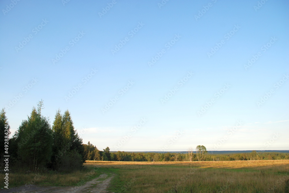 Edge of a field with yellowed grass. A clear sunny day on a field of yellow grass partially illuminated by the sun. There is a sandy road with trees growing nearby. rural landscape Edge of a field with yellowed grass. A clear sunny day on a field of yellow grass partially illuminated by the sun. There is a sandy road with trees growing nearby. rural landscape