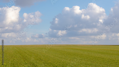 Summer landscape view of green grass field on slope under blue sky and white fluffy clouds, Green meadow on hilly side in countryside, Nature background, Free copy space for your text.