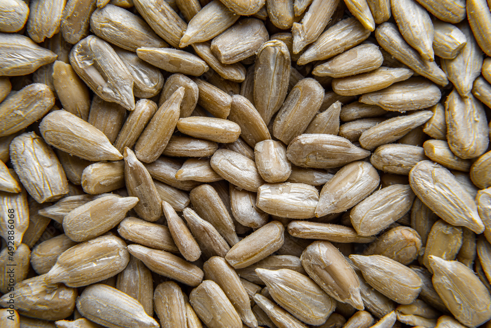 Peeled sunflower seed in a spoon sclose-up background pattern, top view full frame
Peeled sunflower seed in a spoon sclose-up background pattern, top view full frame