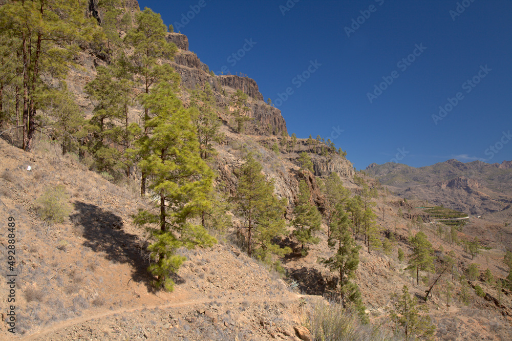 Gran Canaria, landscape of the southern part of the island along Barranco de Arguineguín steep and deep ravine
with vertical rock walls, circular hiking route starting at a hamlet Barranquillo Andres
Gran Canaria, landscape of the southern part of the island along Barranco de Arguineguín steep and deep ravine
with vertical rock walls, circular hiking route starting at a hamlet Barranquillo Andres