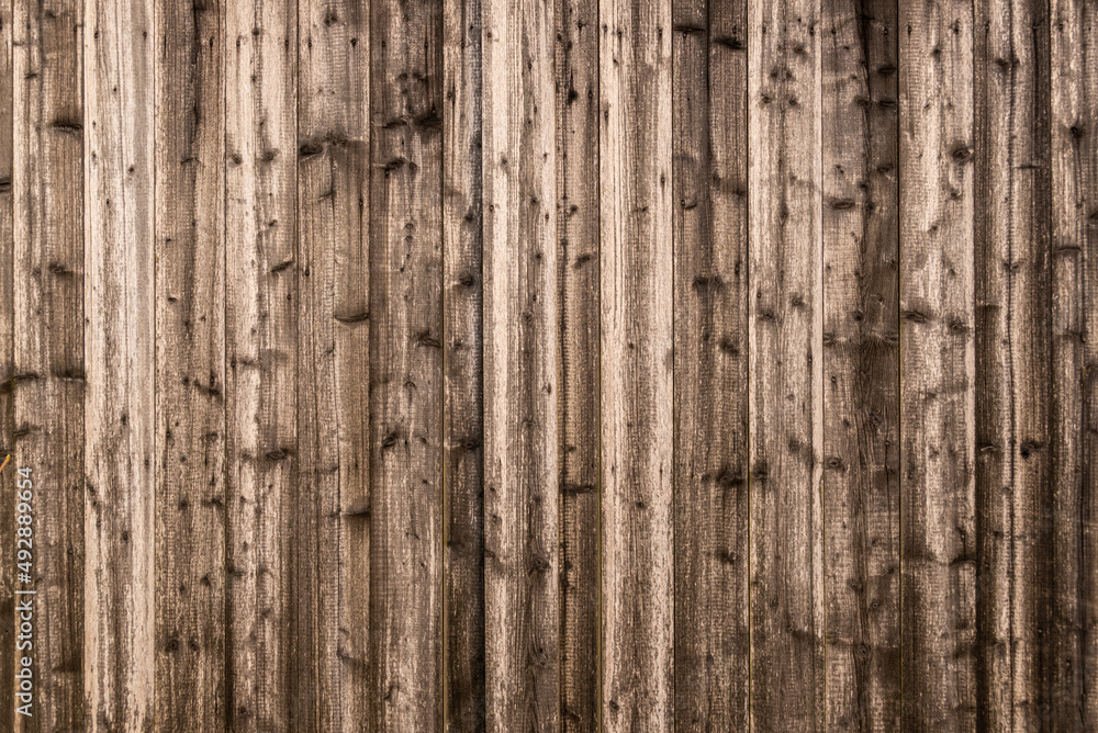A black cat with white paws climbing on a loose wooden board of an old broken shed with a red tiled roof, Germany A black cat with white paws climbing on a loose wooden board of an old broken shed with a red tiled roof, Germany