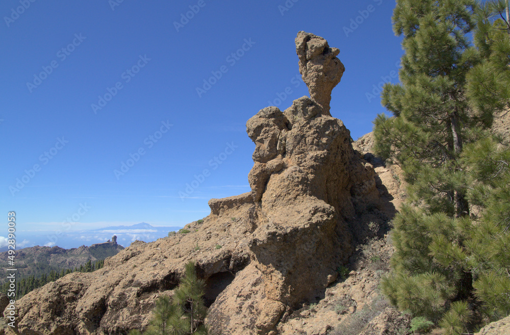 Gran Canaria, central mountainous part of the island, Las Cumbres, ie The Summits, landscapes around Pico de las Nieves, the highest point of the island
