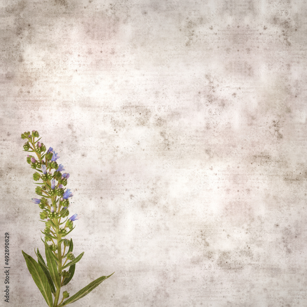 square stylish old textured paper background with blue flowers of Echium callithyrsum, blue bugloss of Tenteniguada, endemic to Gran Canaria
square stylish old textured paper background with blue flowers of Echium callithyrsum, blue bugloss of Tenteniguada, endemic to Gran Canaria