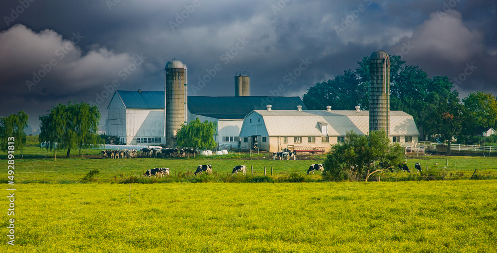Amish farm near Intercourse, PA