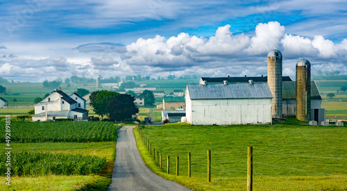 Fotografia A road leading to several Amish farm near Intercourse, PA