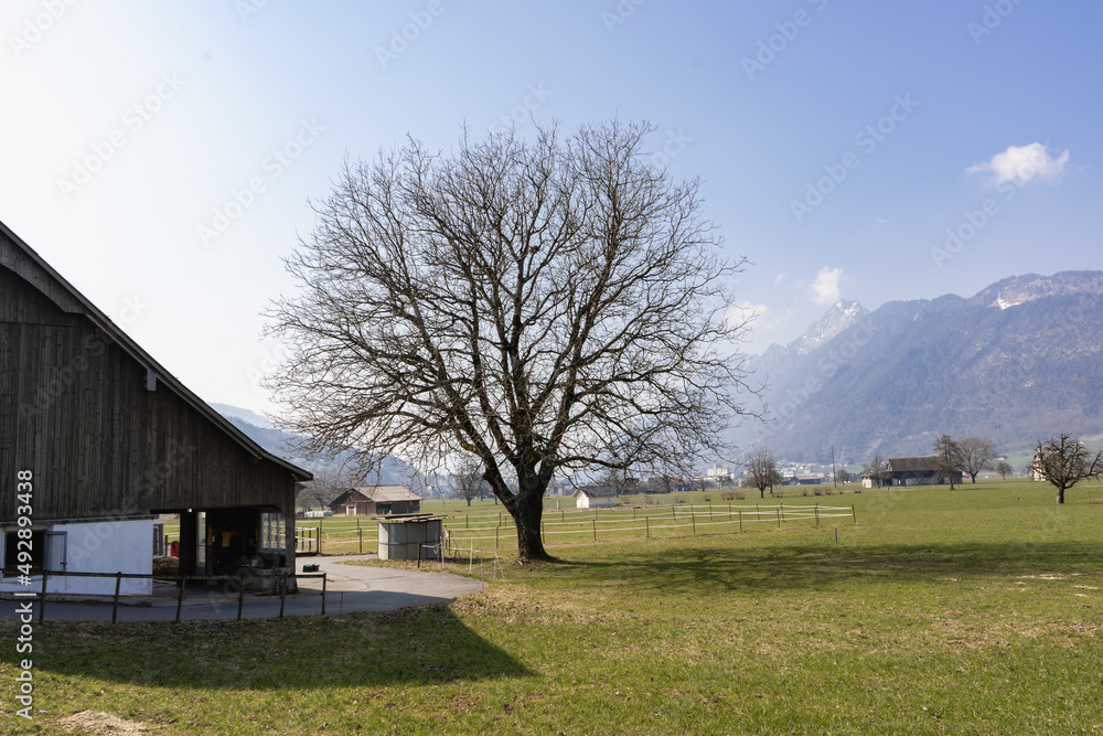 vacation and excursion region of Schwyz is located in heart of Switzerland. It is easily and quickly accessible from all directions. Discover unique landscapes, living customs, and cultur in Schwyz vacation and excursion region of Schwyz is located in heart of Switzerland. It is easily and quickly accessible from all directions. Discover unique landscapes, living customs, and cultur in Schwyz