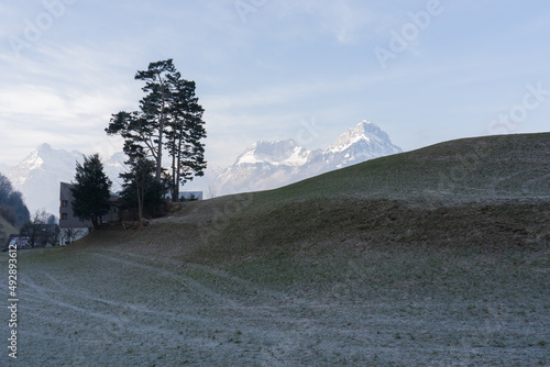 vacation and excursion region of Schwyz is located in heart of Switzerland. It is easily and quickly accessible from all directions. Discover unique landscapes, living customs, and cultur in Schwyz photo