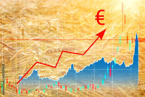 Increase in the price of wheat seedson the graph and an ascending arrow with a euro icon on the background of a wheat field. Concept of crisis, shortage of grain crops. Exchange quotes photo