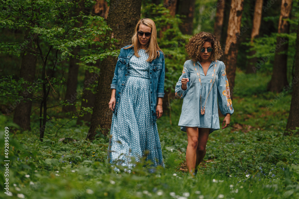 Friends Walk In Forest Friends Walk In Forest