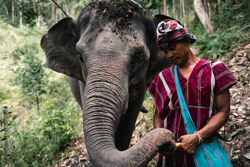 Man with an elephant in the reserve photo