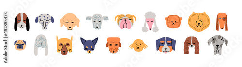 Funny dog animal head cartoon set in modern flat illustration style. Cute puppy pet collection, diverse breeds - domestic dogs bundle.