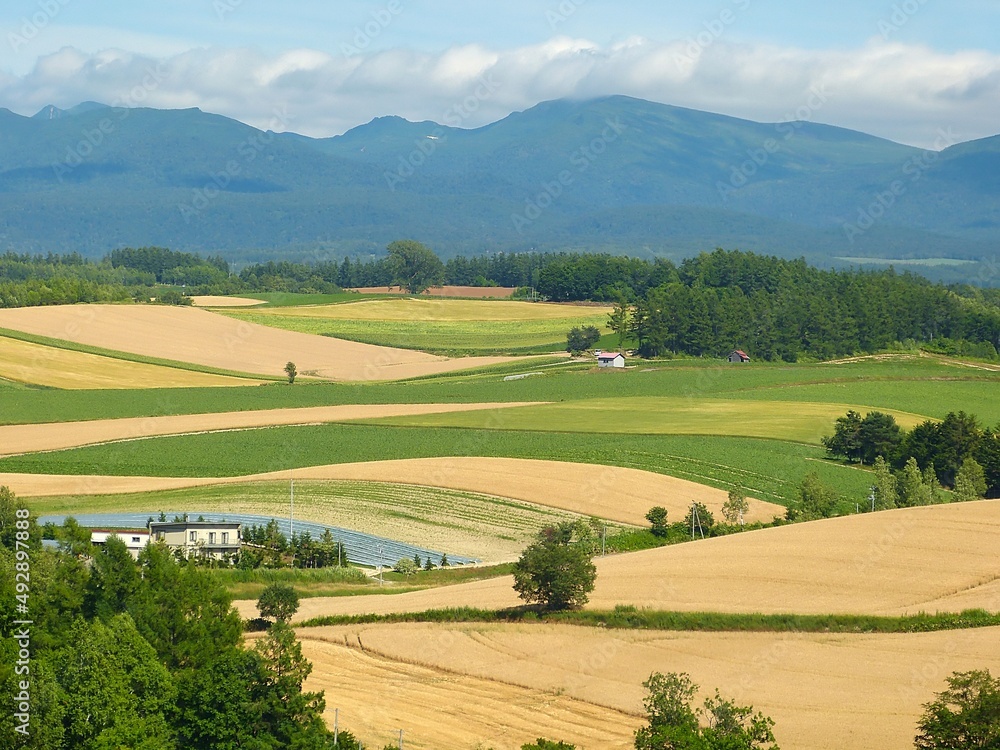 country view of Biei, Hokkaido