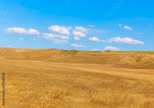 Farm on the hill landscape . Rustic Summer Meadow  
