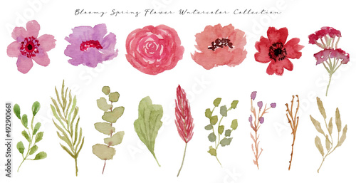 set of cute and beautiful spring flower watercolor