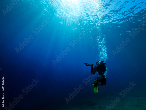 Underwater photos of the coral reef and the marine life in Red sea. Dahab Egypt © Athanasios