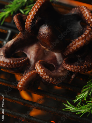 Octopus on grill under fire with rosemary.Seafood, cooking seafood. Asia Food