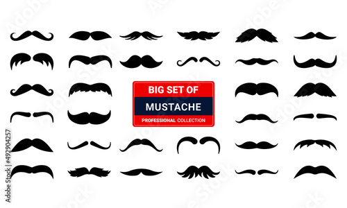 Obraz na plátně Big set of men mustaches vector silhouettes.