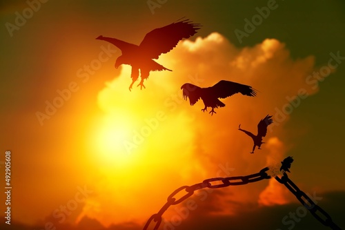 фотографія Concept of Freedom with chains breaking and free birds that flies away at sunset