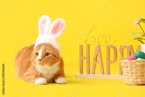 Cute cat in bunny ears, bas...