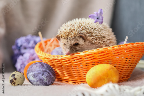 Cute hedgehog in basket and...