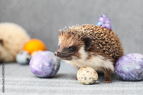 Cute hedgehog with Easter e...