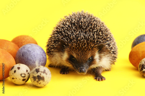 Cute hedgehog with Easter e...