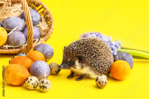 Funny hedgehog with basket,...