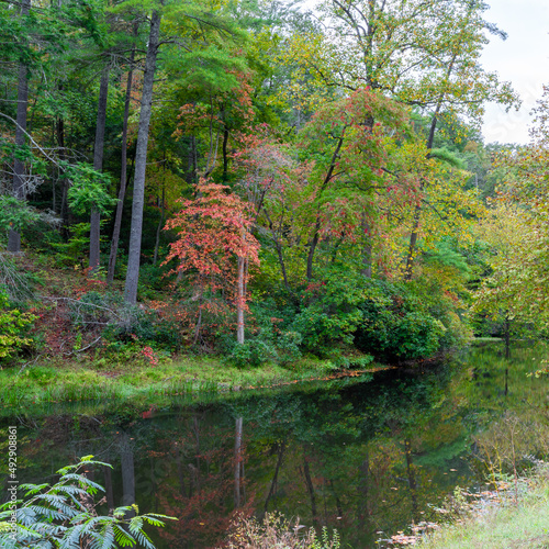 Beautiful Nature on Blue Ridge Parkway