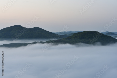 Fototapeta Naklejka Na Ścianę i Meble -  Sea of clouds in early morning