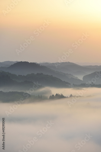 Fototapeta Naklejka Na Ścianę i Meble -  Sea of clouds in early morning