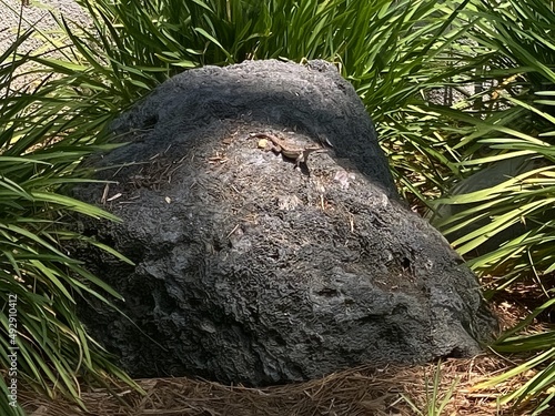 The grey stone in the grass