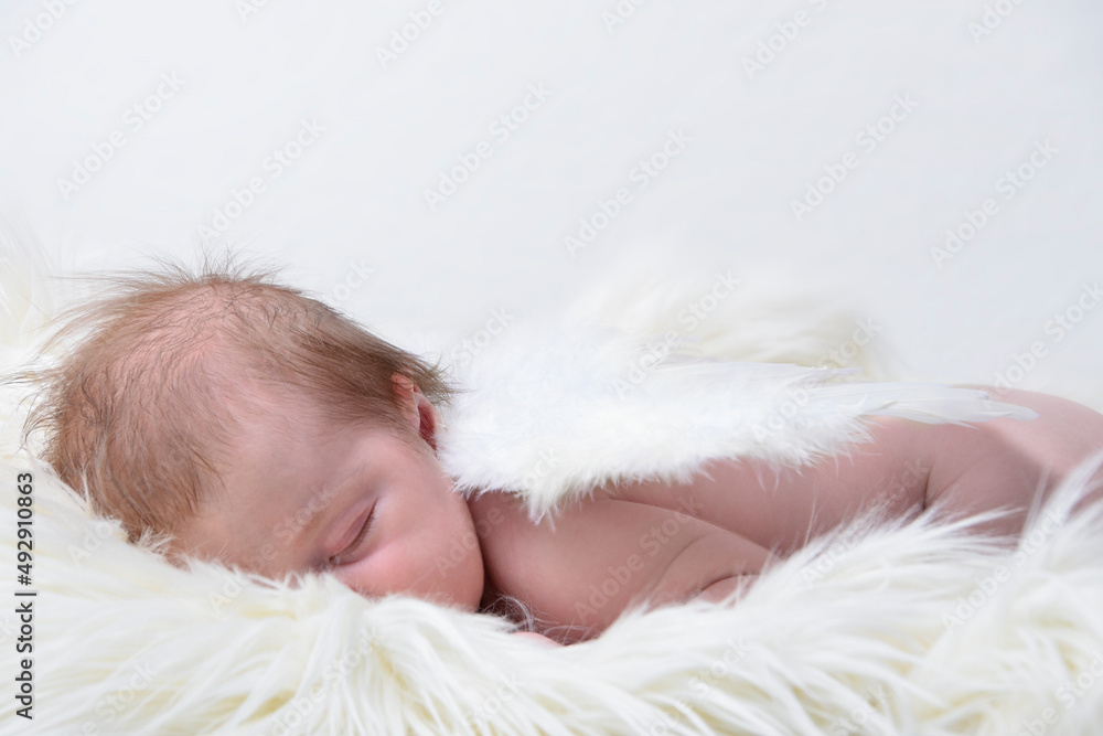 Beautiful Newborn baby girl sleeping with angel wings , isolated white background Beautiful Newborn baby girl sleeping with angel wings , isolated white background
