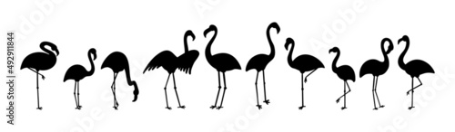 Standing cute pale pink flamingo vector clipart