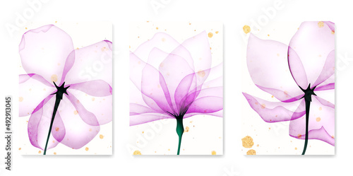 Art background with transparent pink and purple rose flowers and golden details. Vector botanical x-ray style poster set for decoration, interior design, invitations, packaging
