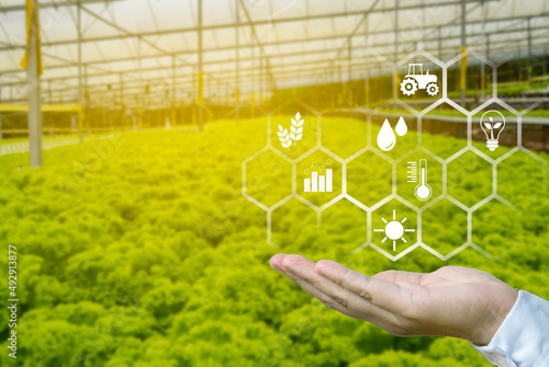 A hand holding a floating icon with a blurry background of green house farm.Concept of smart agriculture and modern technology. photo
